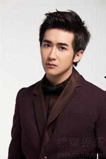 男电视剧演员大全图片,盘点男电视剧演员大全中的璀璨星辰